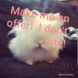 Make Me An Offer!!! I Don't Bite!!!